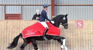 Sezuan dominating the Herning field