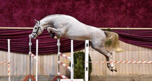 The Grand Finale in Herning