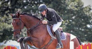 New Zealand young horse showjumping rankings