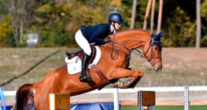 Winter dreams in Vechta