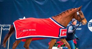 Wind blowing from the west