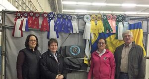 Canadian breeding success for Klondike Victory Farm
