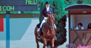 Blood now flowing from the Netherlands to Germany