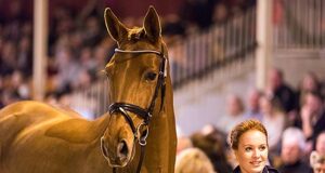 €2.4 million for Stakkariealla