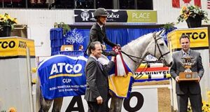 CWHBA: The past and future