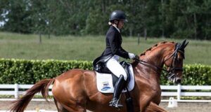 Matthews Hanoverians: Flying the Verband flag