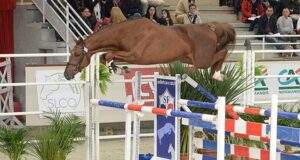 A French breeding revolution for 2019!