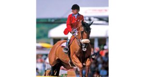 Stallion hit parade: New German breeding values