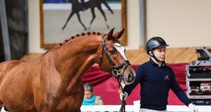 Breeders’ conference and Cichon stallion show