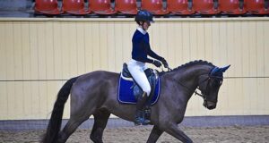 Fifth International workshop on linear profiling (IWSLP)