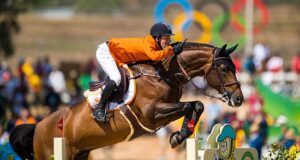 KWPN reformulates goals to meet sport demands