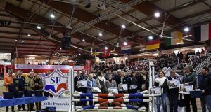 SF stallion show Saint-Lô