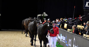 DWB celebrates good sport and good breeding