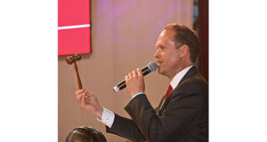 Auctions: A morose start eclipses the 2018 stability