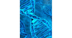 Warmblood Fragile Foal Syndrome (WFFS):