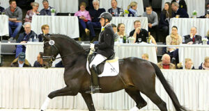 €165,000 for Zouzo