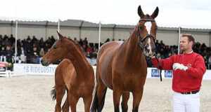 Best price average for 3rd Nordic International Sales