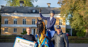 Swedish Warmblood’s Equestrian Weeks