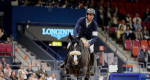 The 40-year evolution of World Cup jumping horses
