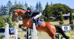 NZ-bred showjumpers grace the European scene
