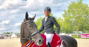 New and old: PAVO and Blom Cup KWPN champions