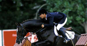 The evolutionary factors of AA on Selle Français blood