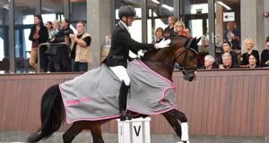Danish Warmblood: Heading for the national finals