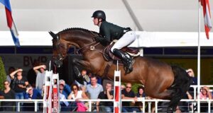 Great sport during young horse world championship