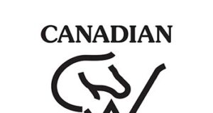 Smashing success for 25th CWHBA Fall Classic Sale