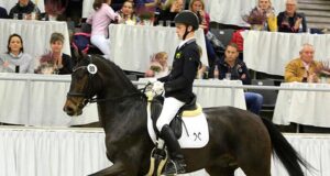 Warm atmosphere for final Hanoverian auction of 2019