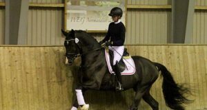 Dressage level never before seen at DWB 35-day test