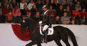 New stallions acquired and approved for Marbach