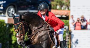 European team champion: Quel Homme de Hus