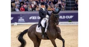 Few new faces in the 2019 WBFSH sire rankings