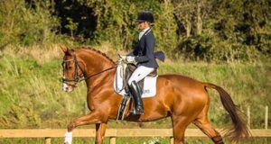 Team Nijhof’s Johnson sons shine down under