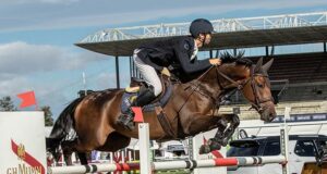 Diverse NZ eventing pedigrees at Puhinui
