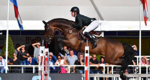 Auction prices soar during the end-of-year sales