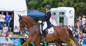 CDI-W Pacific wins for Don Amour