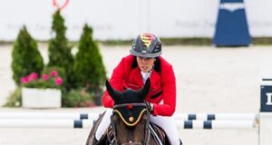 Breeding and sport: Hand in hand during Mechelen show