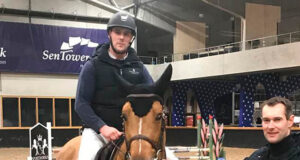 Anglo European Studbook inspections in Belgium