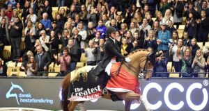 European stallion finale and five-star dressage