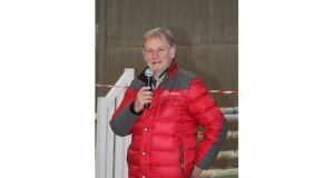 Promising showjumpers and dressage stallions for BWP