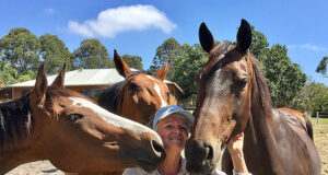 DvZ: Self-made breeder branding top-class eventers