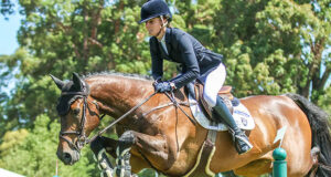 New Zealand 2020 – ‘Year of the Holsteiner’ apparently!