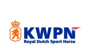 KWPN Online Foal Auctions: Everything in one package