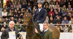 Hanoverian’s Weltmeyer and Stakkato prizes awarded