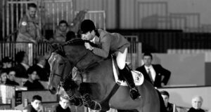 Is there a future for the Selle Français Originel?