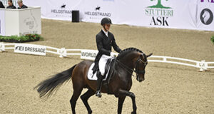 Zack: Out of breeding service for 2020