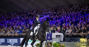 Elite stallion Vivaldi arrives at Blue Hors