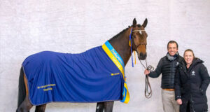 Swedish Warmblood stallion performance test 2020